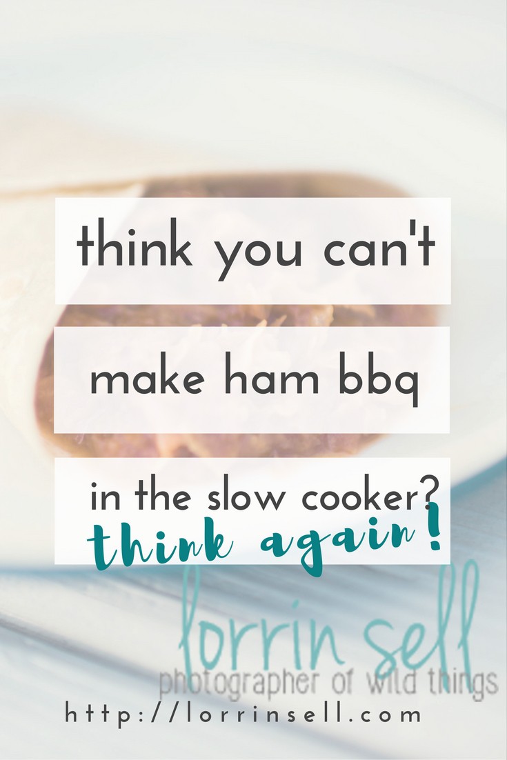 I love ham barbecue, and now that Iknow how to make it in the crock pot, I will definitely be making it more often!
