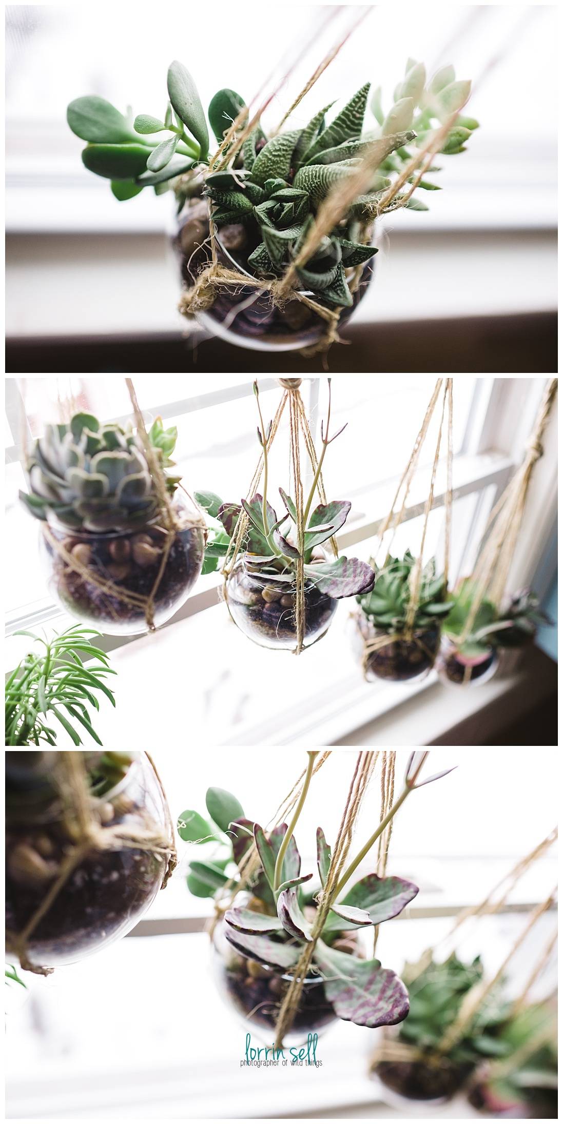 I am so happy I figured out a place to put my succulents. This diy succulent window adds so much to my kitchen.