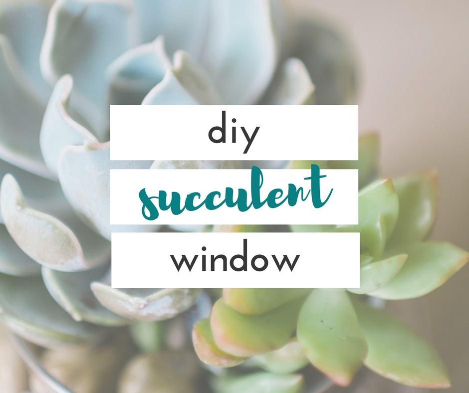 I am so happy I figured out a place to put my succulents. This succulent window adds so much to my kitchen.