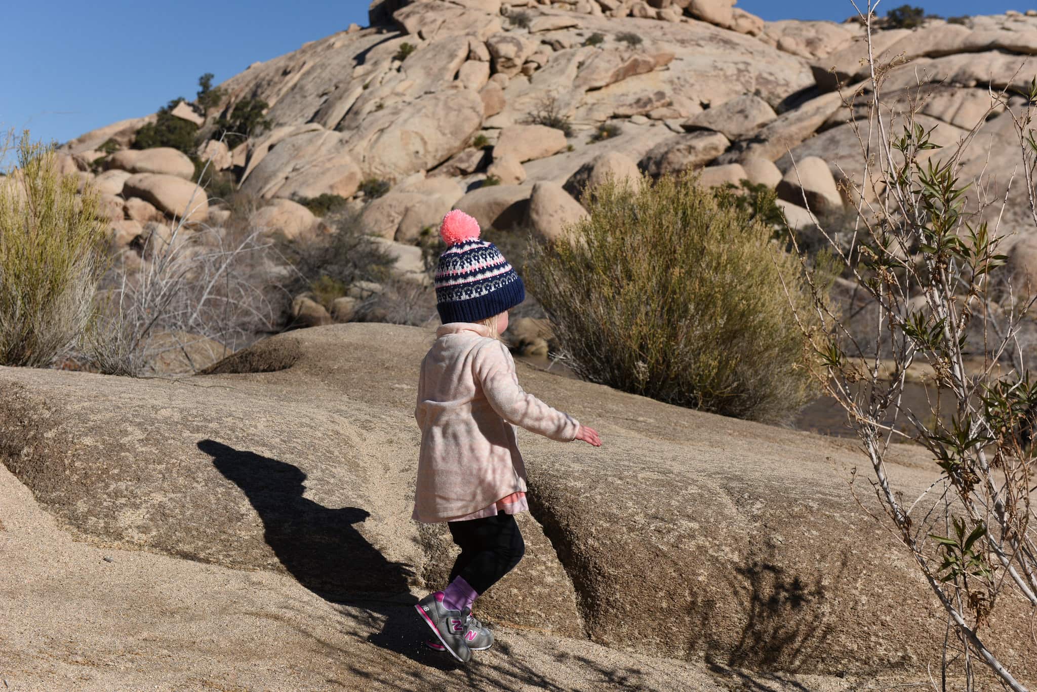 10 amazing national parks to visit with kids