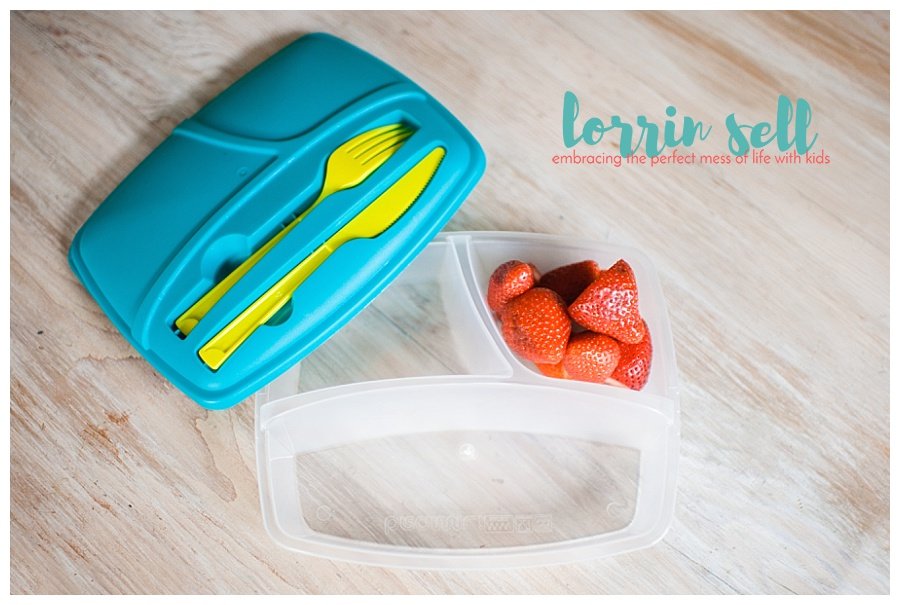 Making school lunch can be super boring for the person making it, and the one eating it! I love these ways to make school lunch fun