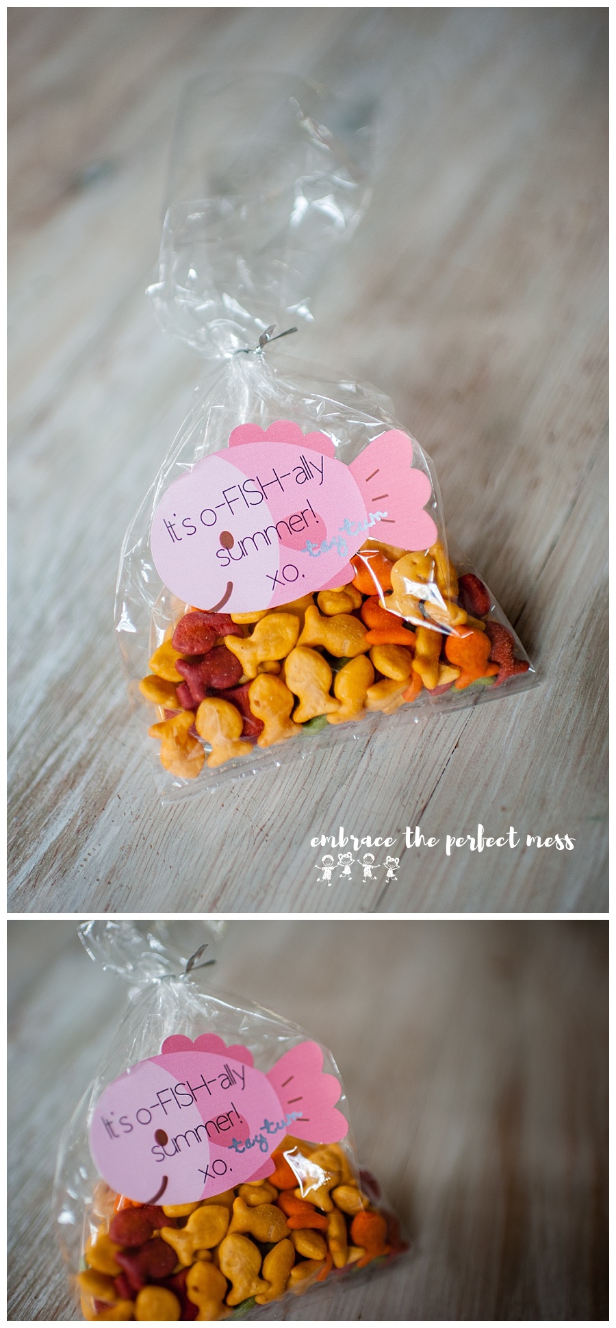 These simple end of the year classmate treats are perfect for any size class because they are so easy to make, and super cheap!! Great ideas for end of the school year gifts!